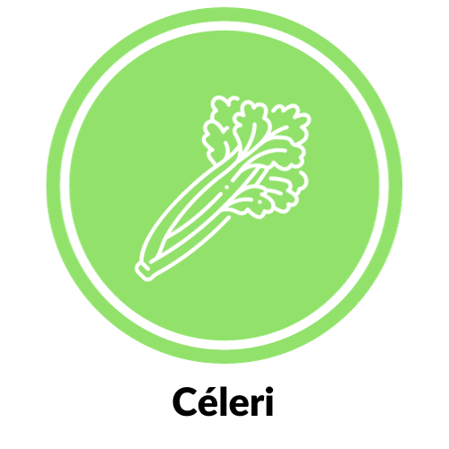 Céleri